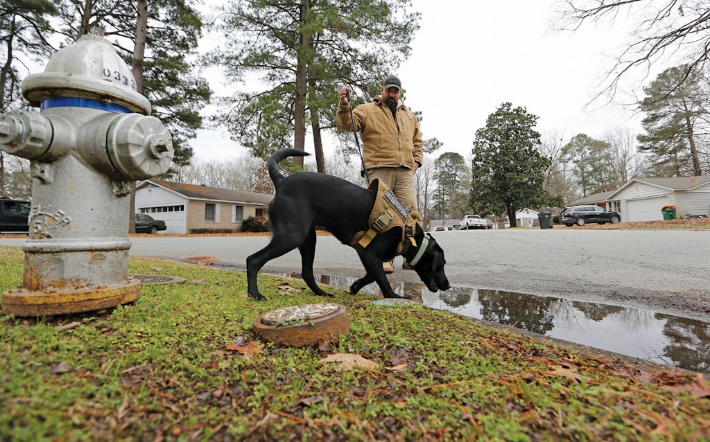 Human/Trained Dogs Human/Trained Dogs