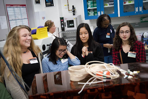 workplace for women in NDT
