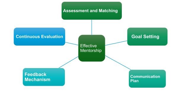 Important factors in Mentorship include