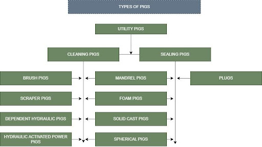 Types of Pigs