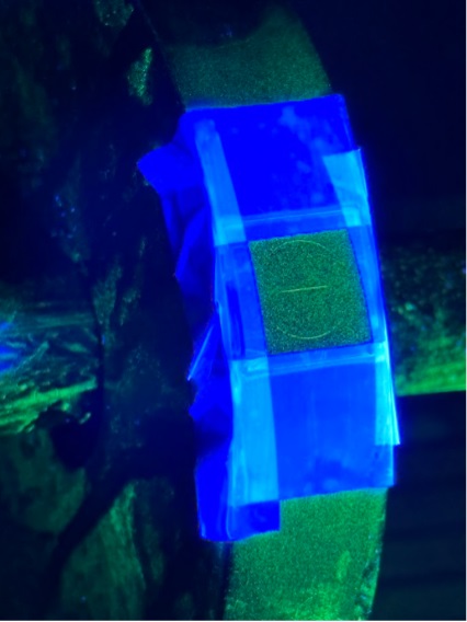 QQI attached to a Ketos ring demonstrating sensitivity using circular magnetization