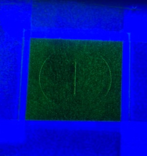 QQI Blacklight