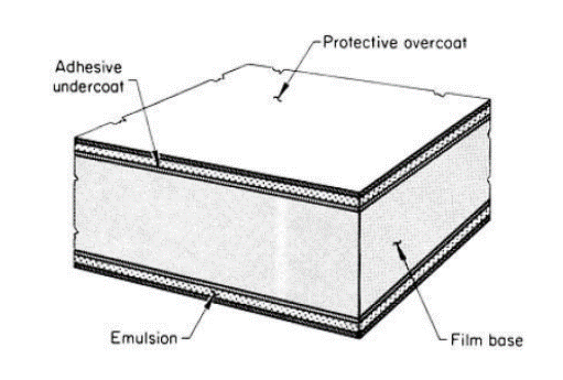 Radiographic Film Cross-Section