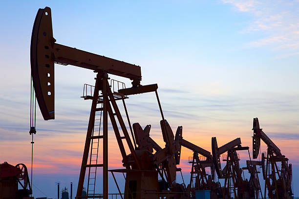 Oil Pumps
